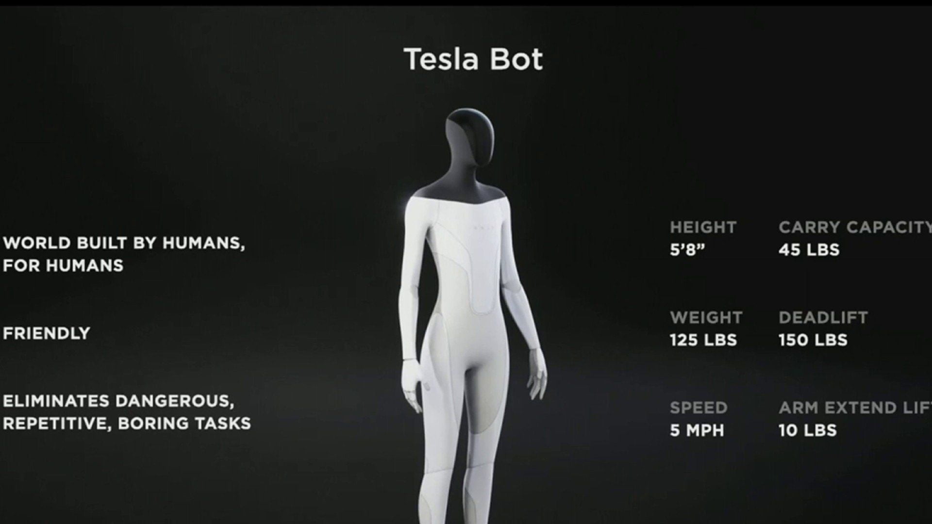 Tesla Bot 