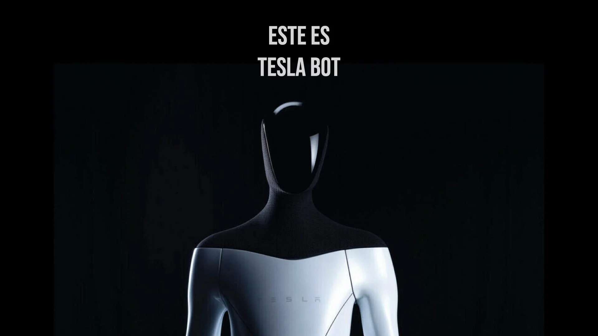 Tesla Bot: Elon Musk de vuelta al ingenio