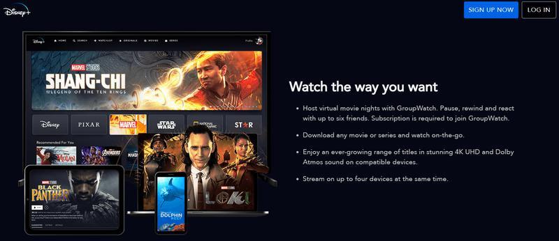 Watch the way you Disney Plus